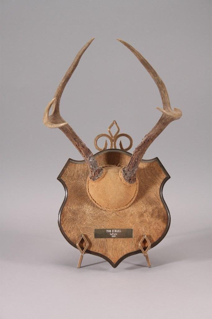 Vintage Deer Antler Plaque (1 of 5)