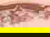 item-441098=3