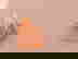 item-441098=4
