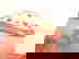 item-441104=2