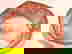 item-441108=1