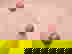 item-441108=4