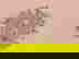 item-441109=3