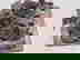 item-441330=6