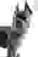 item-51554372=2
