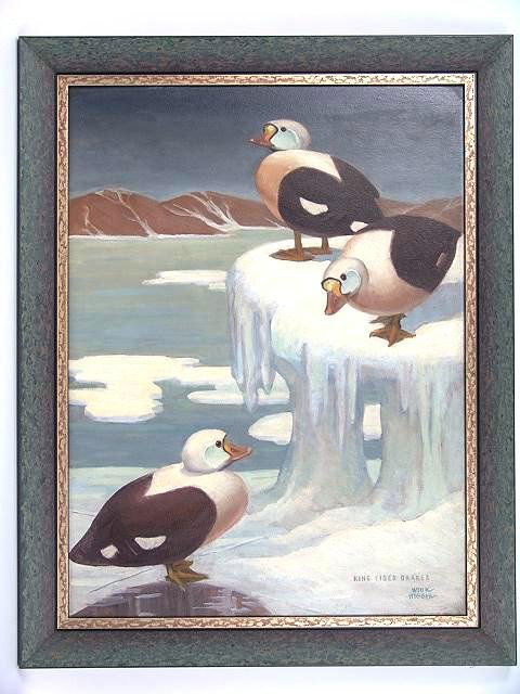 ORIGINAL OIL ON BOARD ILLUSTRATION OF WATERFOWL CI: Title Eider Drakes and painted by Will Higgie of Girard Kansas, circa 1920's. Illustrator Will Higgie lived and worked in New York, returning to Girard later. Beautifully framed and in very nice condi