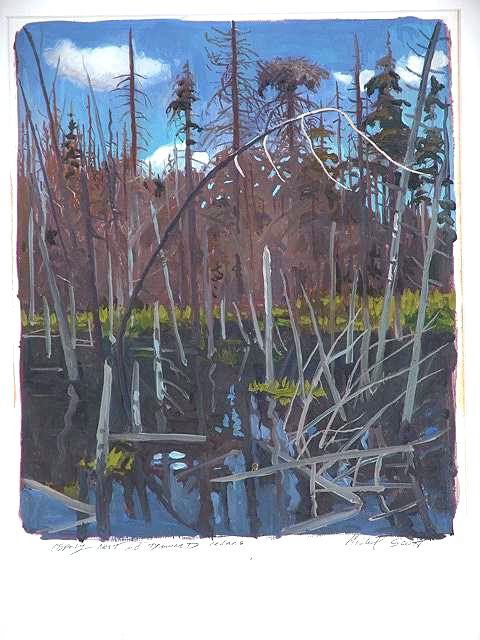 OIL ON PAPER LANDSCAPE BY OHIO ARTIST SCOTT: Original work by Michael Scott. A vibrant colorful work of shadows and light titled below the image in pencil, OSPREY NEST AND DOWNED CEDARS, signed lower right. Nicely framed in archival materials.Ov