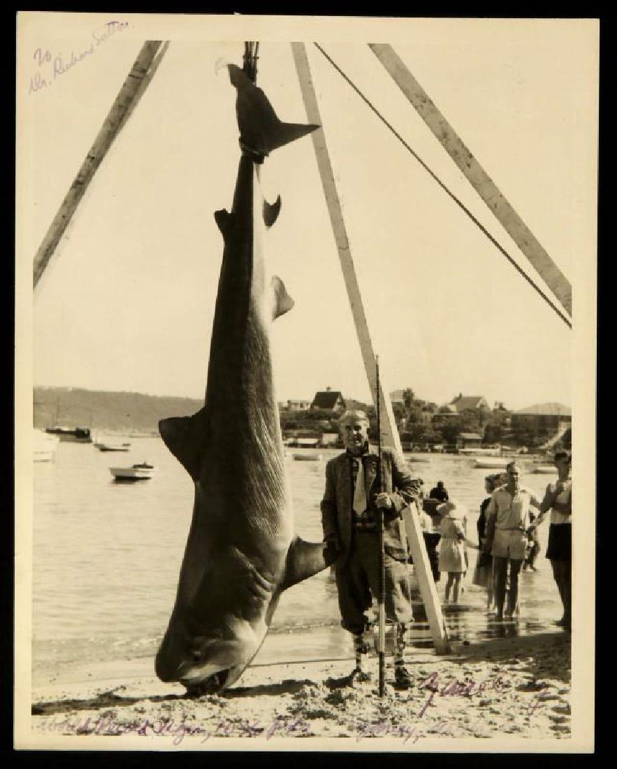 SIGNED ZANE GREY PHOTOGRAPH WITH TIGER SHARK (1 of 8)