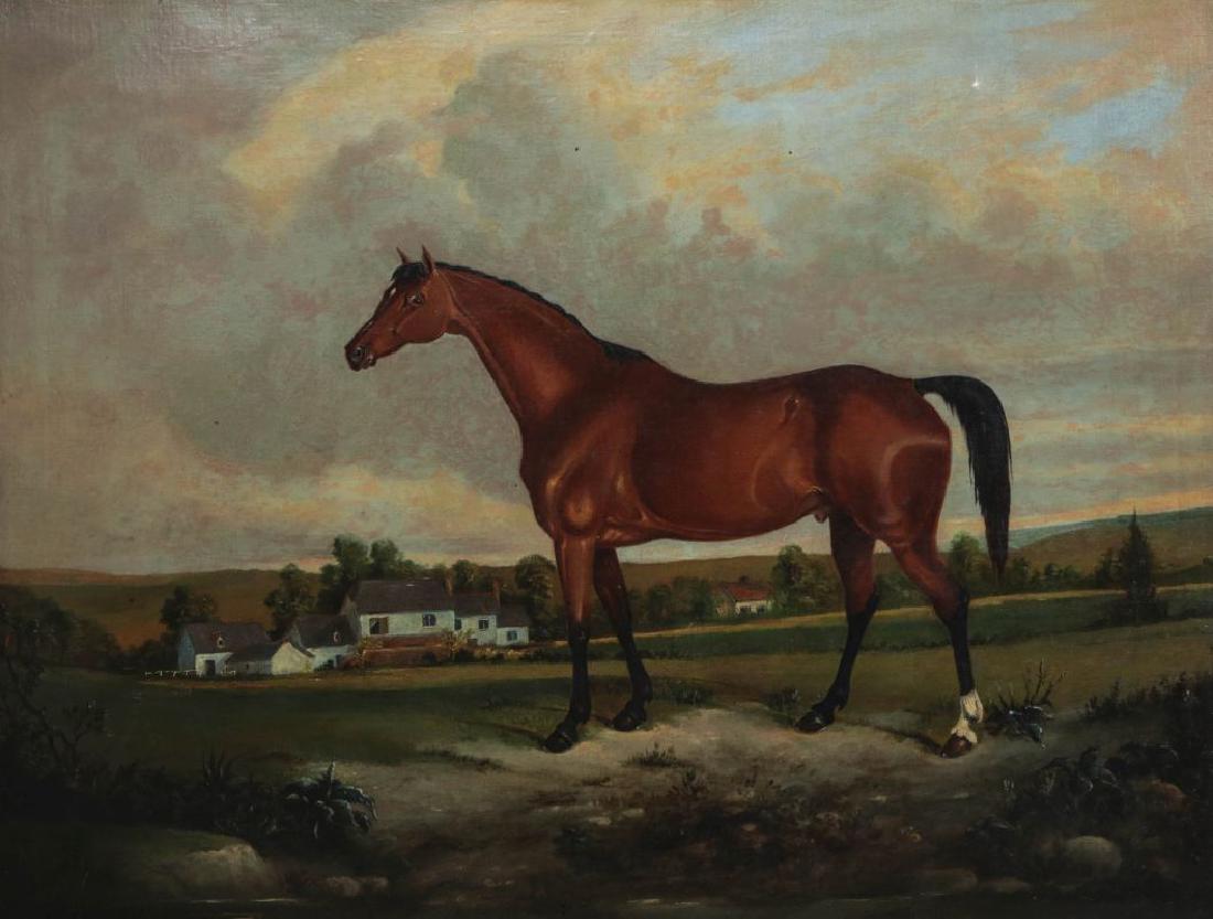 AN EARLY 19TH C BRITISH SCHOOL EQUINE PORTRAIT (1 of 10)