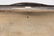 AN ANTIQUE CONTINENTAL STERLING SILVER PATCH BOX - 6
