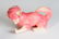 A VINTAGE CELLULOID RATTLE AND DOG FIGURE - 4
