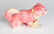 A VINTAGE CELLULOID RATTLE AND DOG FIGURE - 7