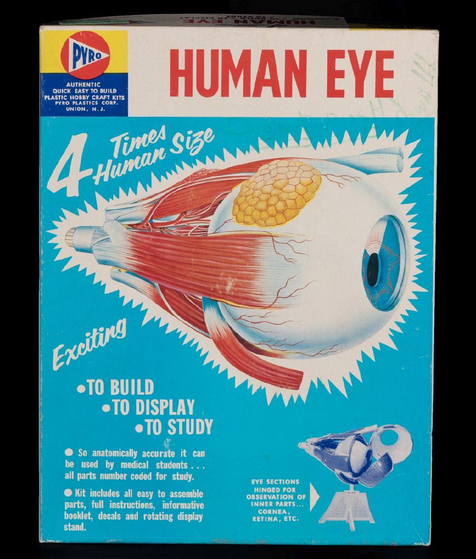 PYRO HUMAN EYE MODEL KIT, IN BOX (1 of 6)
