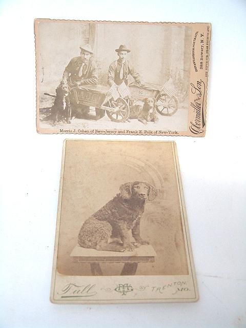 TWO CABINET CARDS WITH DOGS