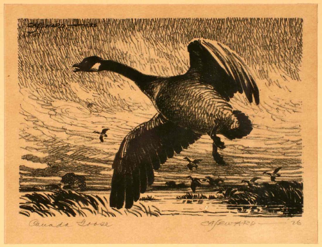 C.A. SEWARD (1884-1939) PENCIL SIGNED LITHOGRAPH: Coy Avon (C.A.) Seward (1884-1939) Canada Goose 1926 Titled 'Canada Goose' lower left, signed lower right and dated '26, the inscription 'The Blue Goose Golf Tournament', Wichita, Kansas 1938 adds int