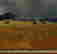 item-78251270=7
