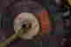 item-80944848=16