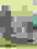 item-5556870=3