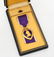LT WEMHEUER AAF GROUPING: PURPLE HEART, CATERPILLAR ETC - 8