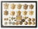 A COLLECTION OF WWII ARMY AND NAVY INSIGNIA AND PINS