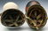 A COLLECTION OF US WWII AND OTHER HELMETS - 5