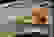 item-87509053=4
