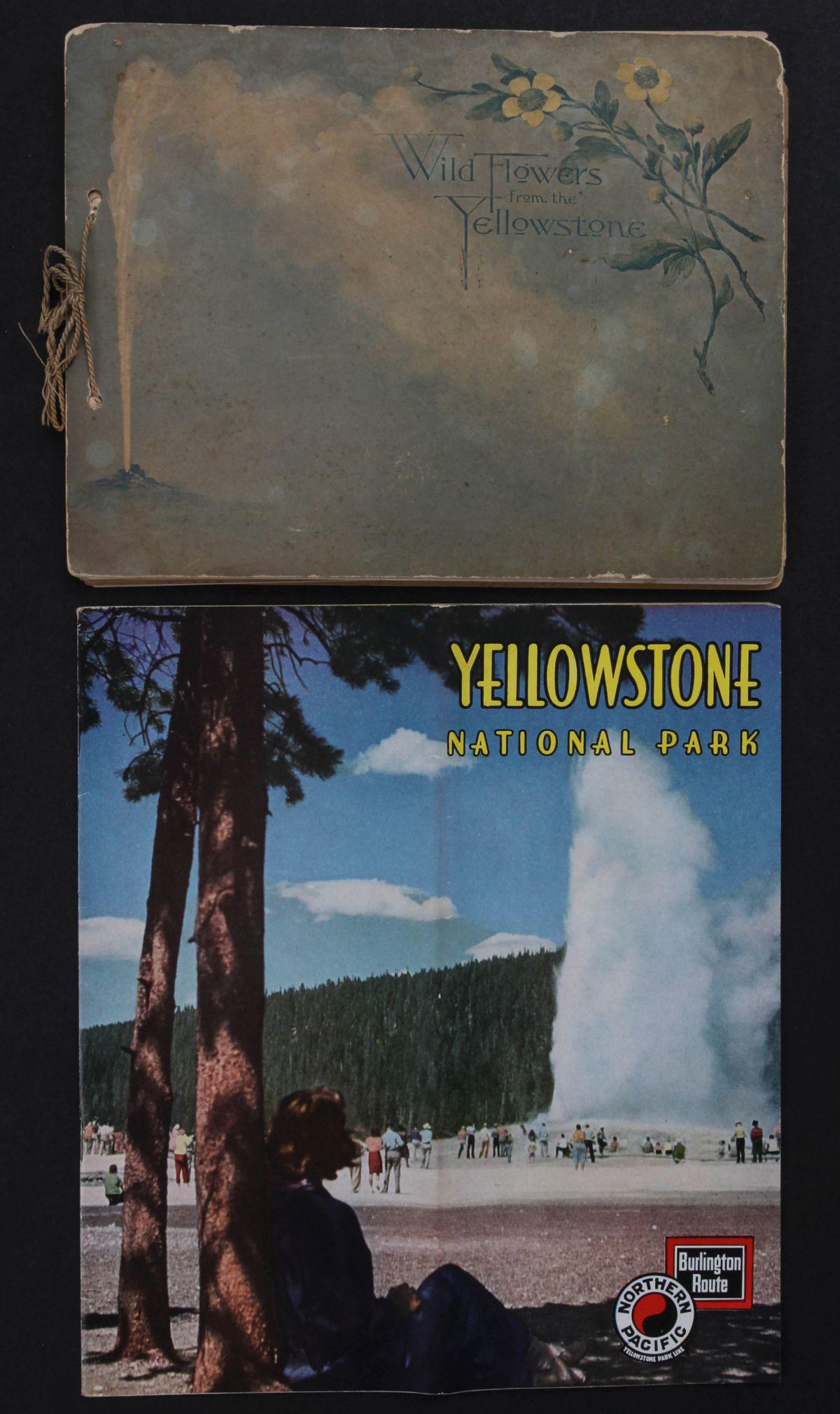 A COLLECTION OF CANADIAN PACIFIC RAILWAY EPHEMERA (1 of 12)