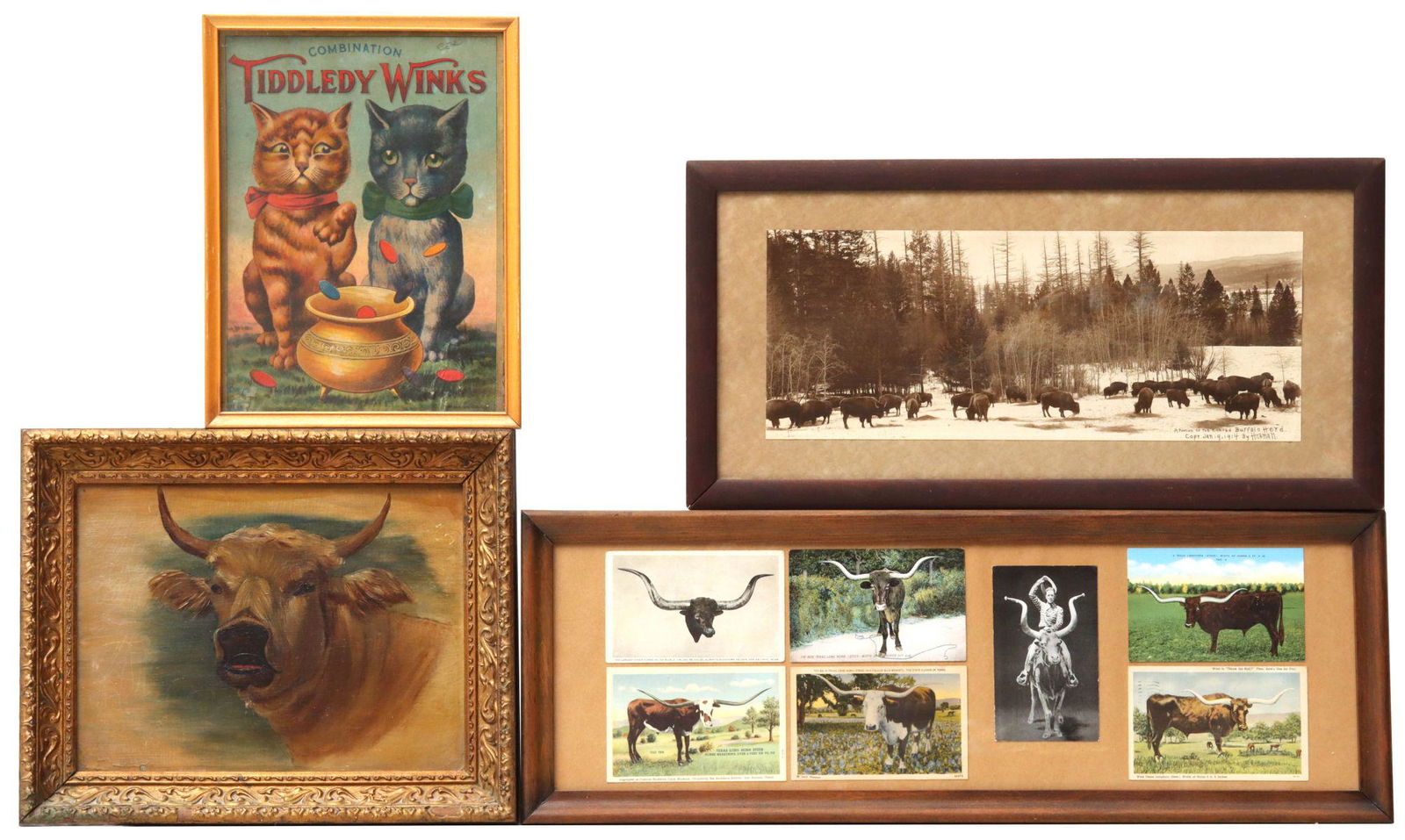 AN EARLY 20TH C. PORTRAIT OF A STEER, RELATED POST CARD (1 of 16)