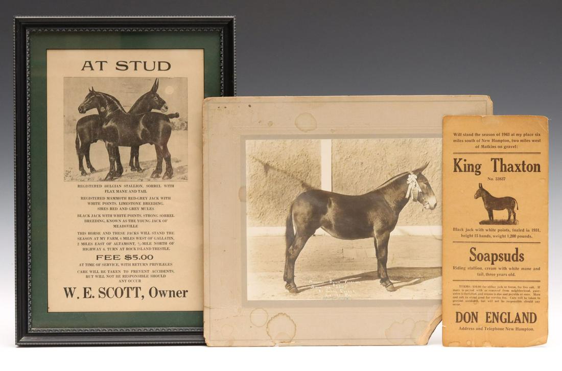MISSOURI MULE MEMORABILIA CIRCA 1910s (1 of 11)