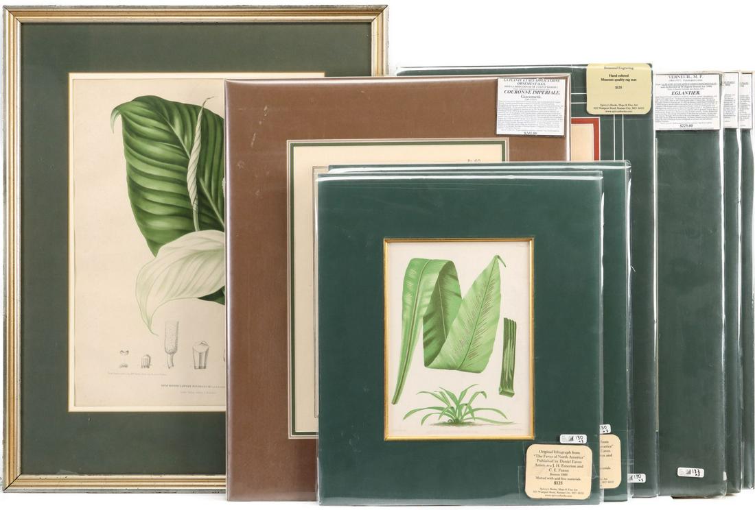 A COLLECTION OF 19TH C. FRAMED BOTANICAL PRINTS (1 of 13)