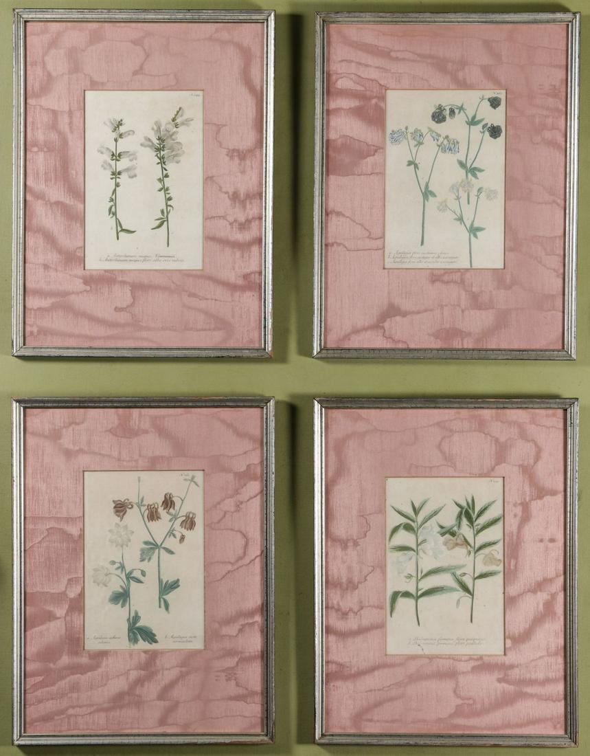 FOUR 18TH/19TH C, BOTANICAL PRINTS (1 of 17)
