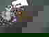 item-953017=2