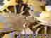 item-953017=3