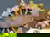 item-953021=2