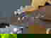 item-953021=3