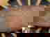 item-953021=4