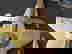 item-953024=2