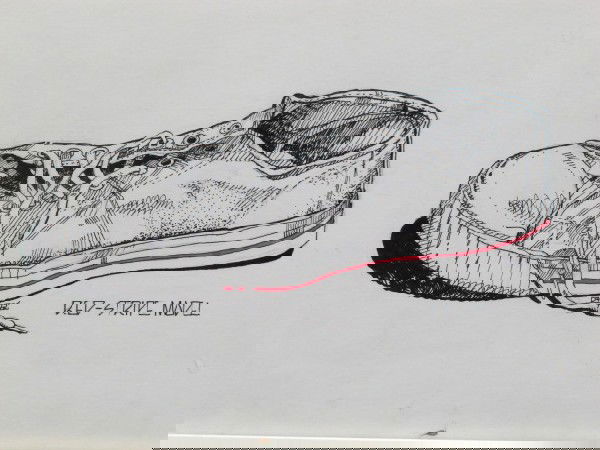 TWO PEN AND INK WORKS ON PAPER BY JIM DYLE: Simple pen and ink on paper with title 'Red-Stripe Model' and stylized signature near laces. Sight size 13-1/2 x 21-3/4 inches, in slightly larger frame. Also a pen and ink on paper with title 'Work S