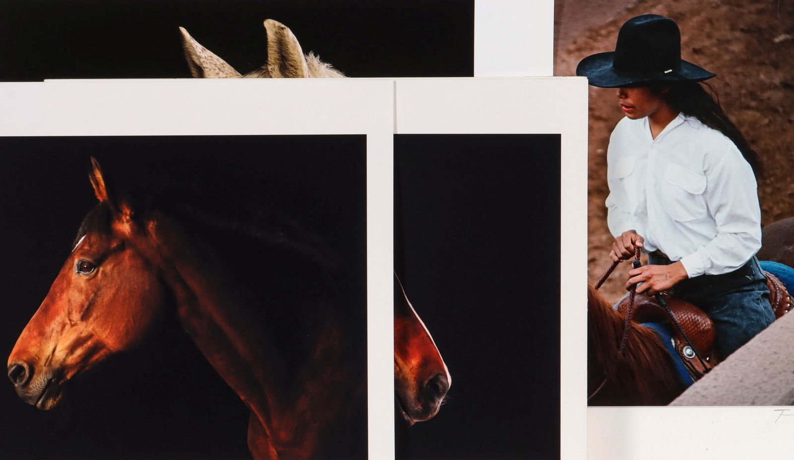 DAVID SINCLAIR (21ST C.) EQUINE PHOTOGRAPHS (1 of 13)
