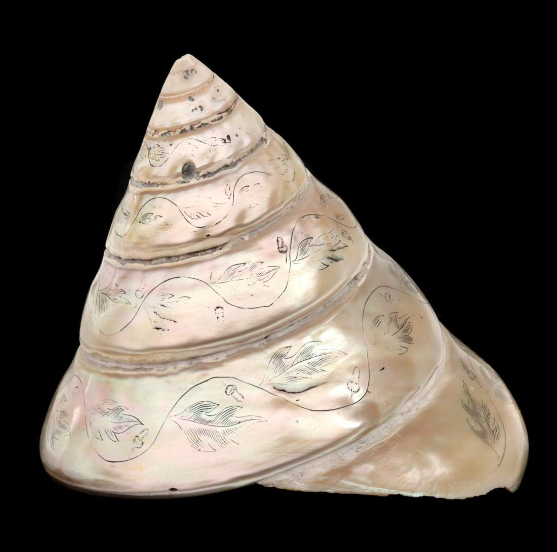 A PEARLESCENT CONCH-TYPE SHELL WITH ETCHED VERSE: The spiral form shell with etched decoration is also inscribed with tiny text from the poem The Sea-Shell by Bernard Barton (1784-1849): 'Have you heard of a shell on the margins of the ocean, Whose p