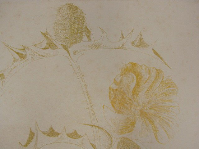 LEONARD BASKIN PENCIL SIGNED ETCHING: Titled 'Thistle and Yellow Flower,' pencil signed lower right, edition 6/120 lower left. Dated 1970 in plate. 17-7/8 x 11-7/8 inch image plate, 30 x 22 inch sheet.