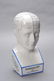 A PORCELAIN PHRENOLOGY BUST - 2