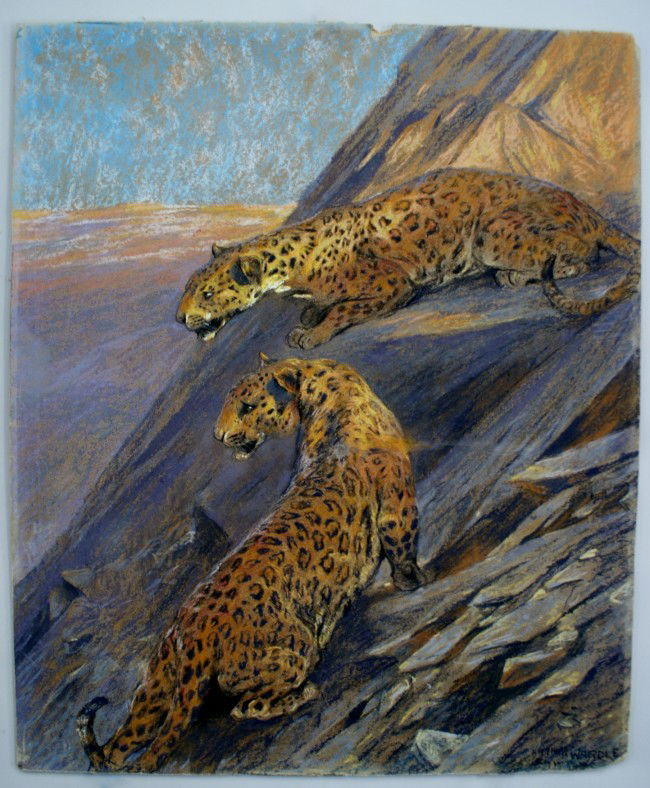 ARTHUR WARDLE (1864 - 1949) PASTEL OF LEOPARDS: A study of two leopards titled 'At Sundown' signed lower right with the notation 'Study for..?' , straight wood frame with gilt, unframed, 22 inches high x 18-1/4 inches wide