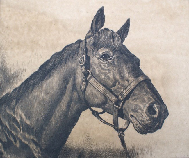 ETCHING BY R.H. PALENSKE (1884 - 1954): Seabiscuit - Grandson of Man O' War', signed in pencil in the lower right with the title to the left. Image size 10 x 12 inches.