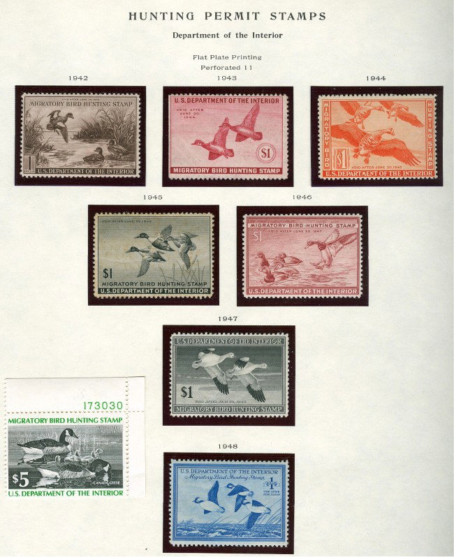 A FINE COMPLETE DUCK STAMP SET 1934-1983 - 2