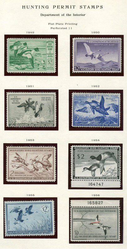A FINE COMPLETE DUCK STAMP SET 1934-1983 - 3