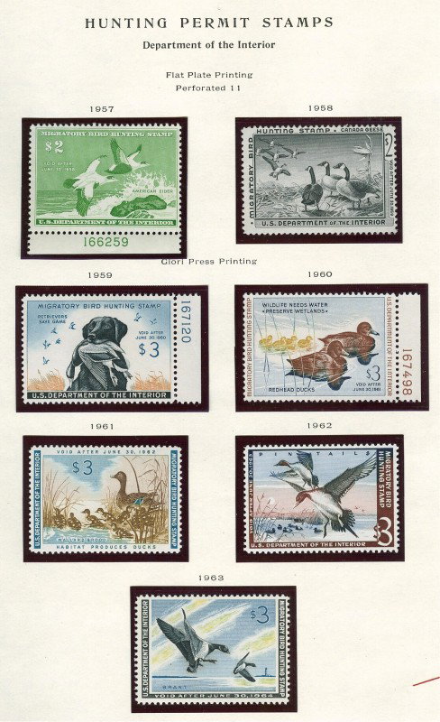 A FINE COMPLETE DUCK STAMP SET 1934-1983 - 4