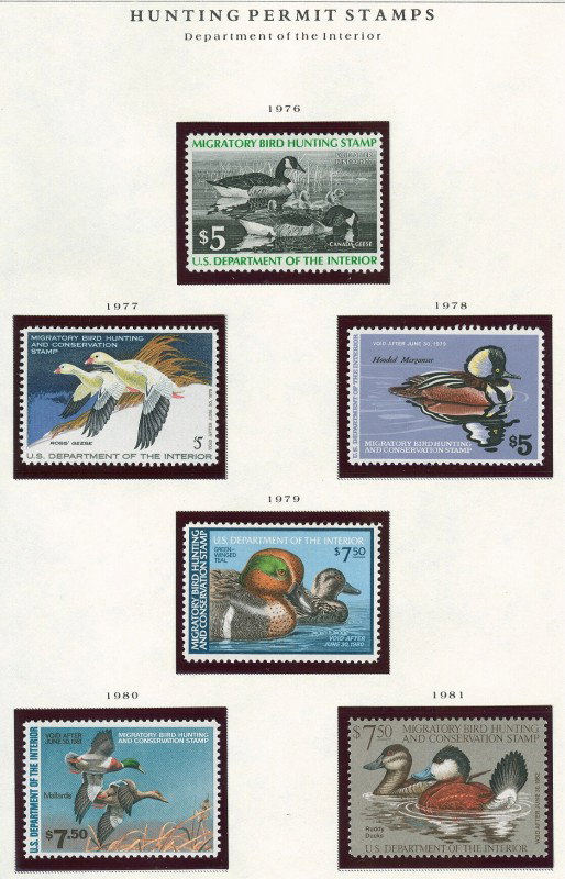 A FINE COMPLETE DUCK STAMP SET 1934-1983 - 6