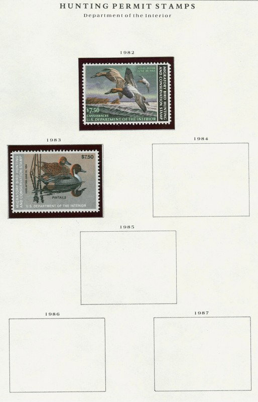A FINE COMPLETE DUCK STAMP SET 1934-1983 - 7