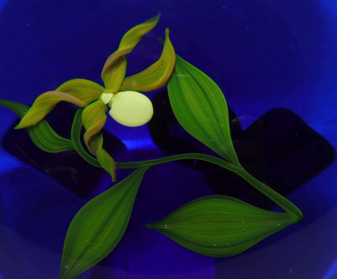 A FINE PAUL STANKARD PAPERWEIGHT WITH VENUS SLIPPER (1 of 8)